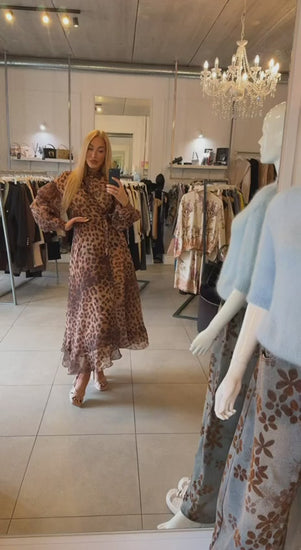 Video1 of Leopard Dress from EME boutique